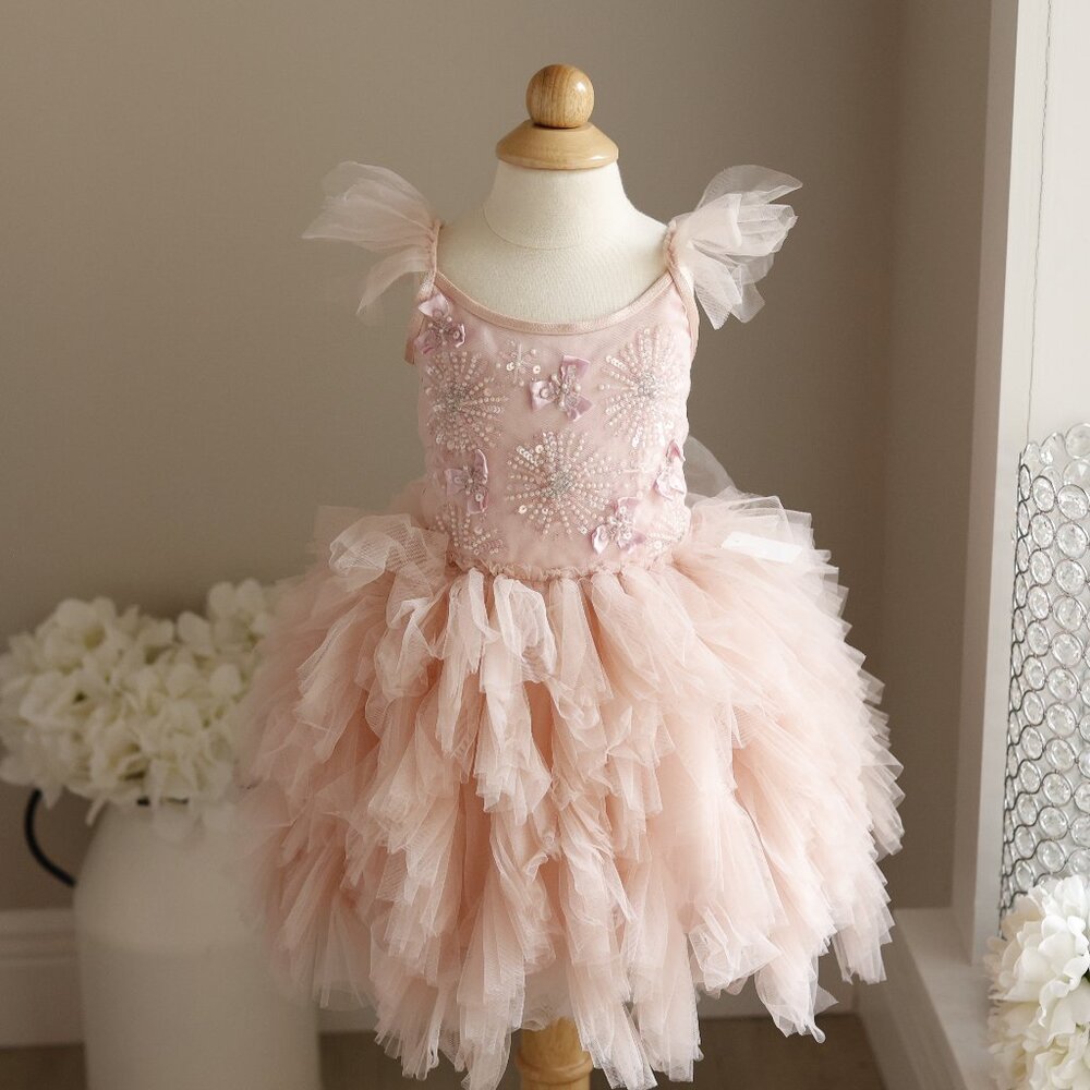 Tutu Du Monde Jaiper Bebe Dress Peony Pink Size 18-24 Months Portraits Party